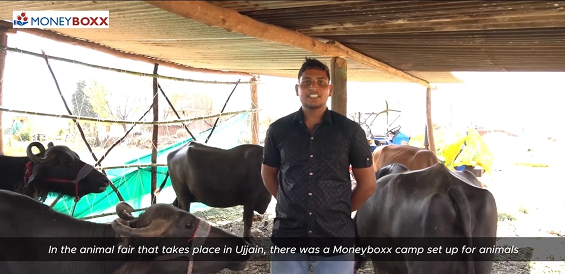 From Loan to Livestock Wellness with Moneyboxx