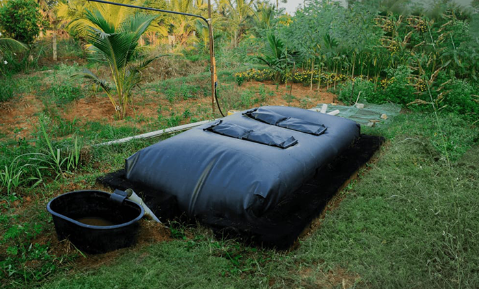 Biogas